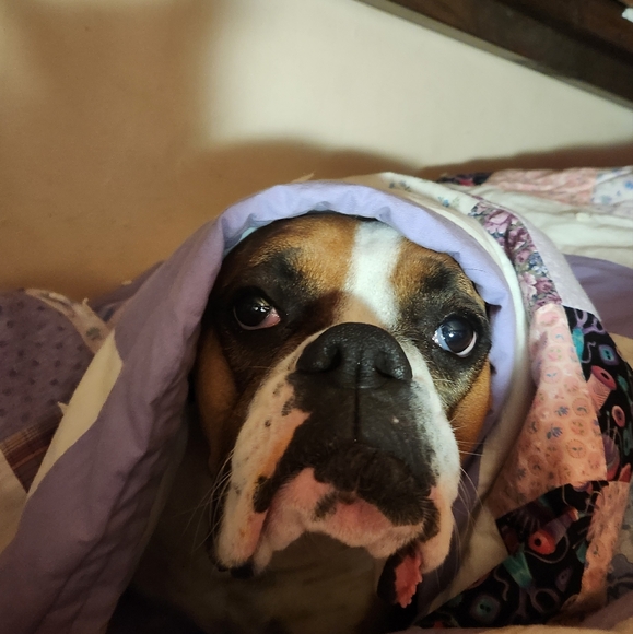 Meet your Posher, Sally - Picture 7 of 10